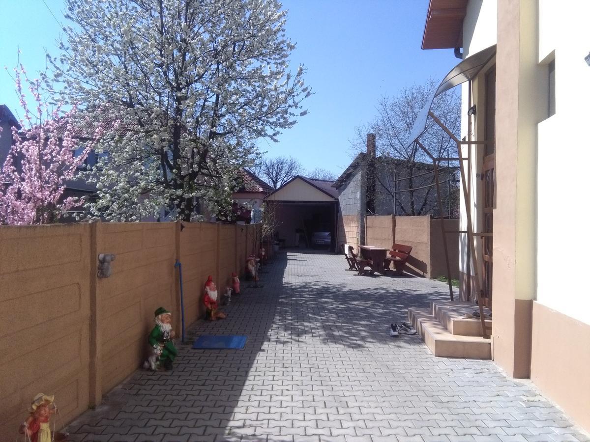 Отель Casa Ovi Si Simo Хацег Экстерьер фото