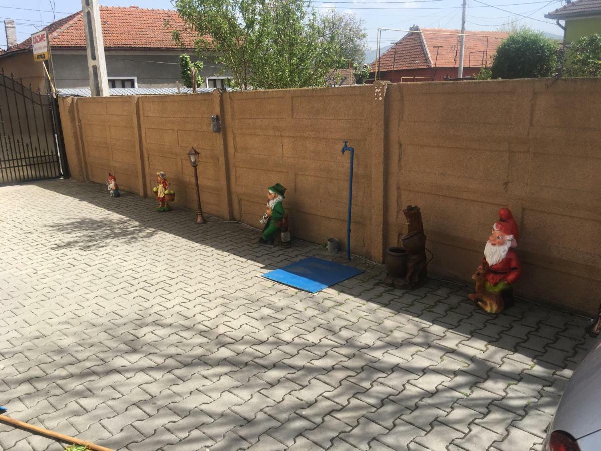 Отель Casa Ovi Si Simo Хацег Экстерьер фото
